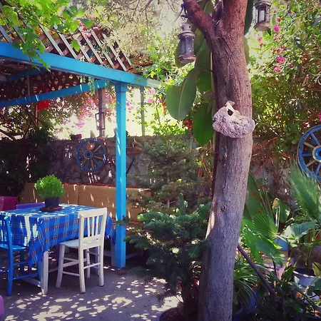 Parmis Homestay